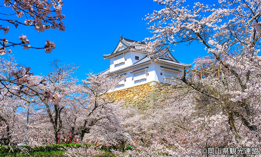 鶴山公園　津山城