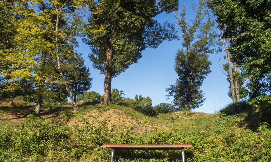 美しい里山公園